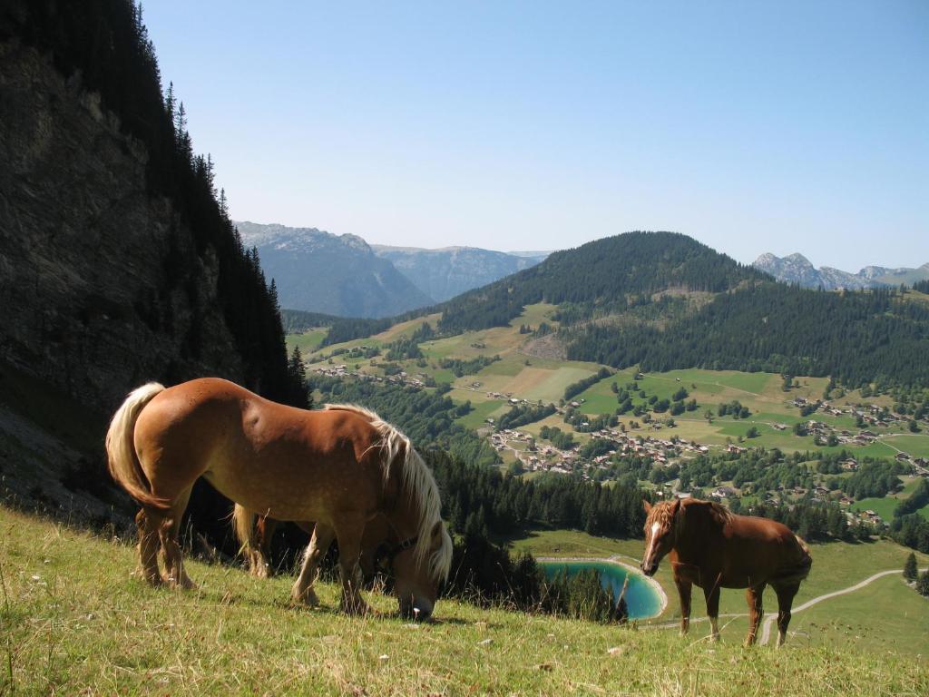 Hotel Bellachat La Clusaz Bagian luar foto